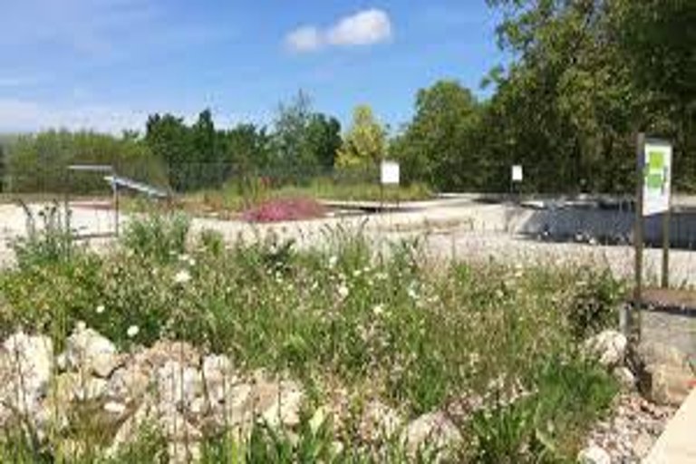 Des bénévoles nettoient les rives de la Limmat